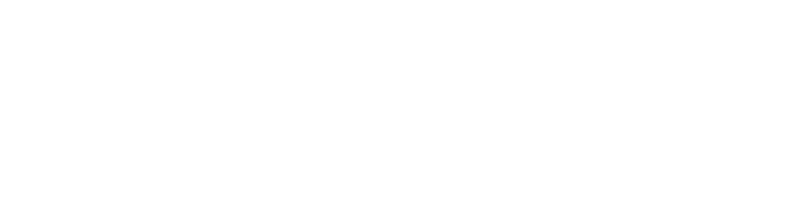国人电子科技